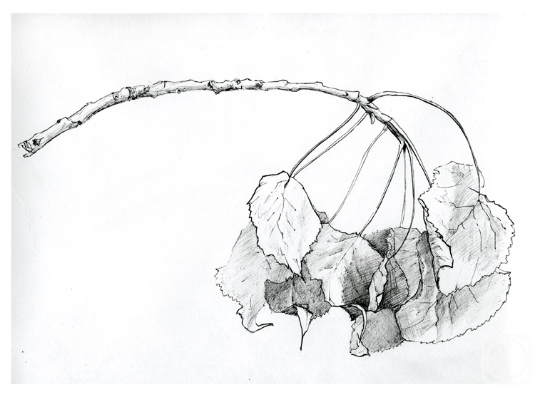 �������. �������� �����. ������� ��� ��������