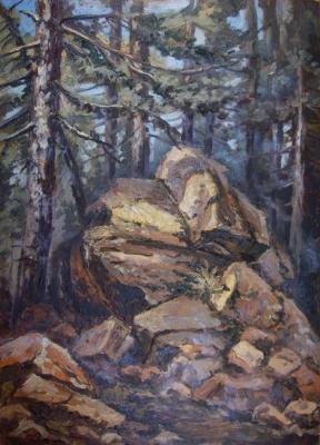 Stones in the wood. Lazarev Dmitry