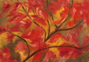 ������� ������ 11 (����� �����)�