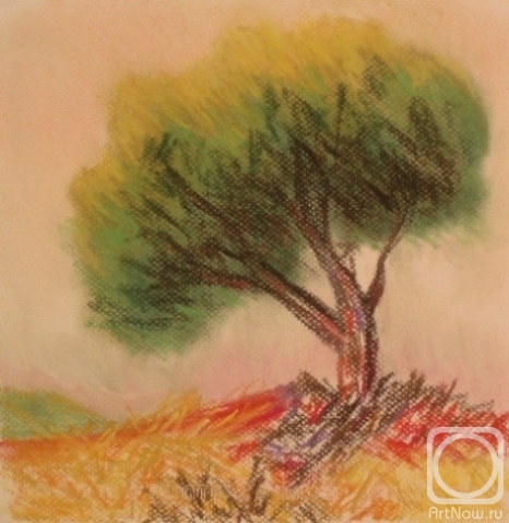 �������. �������� ������. ����� 13 (������)