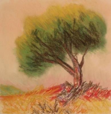 ������� ������ 13 (������)�