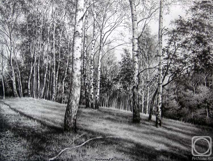 �������. ��������� �������. ������ ����