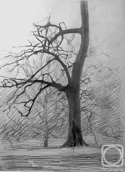 �������. ������� ����. ������� �����