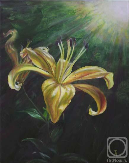 ������� ������ �� ������. ��������� ����. �������� �����