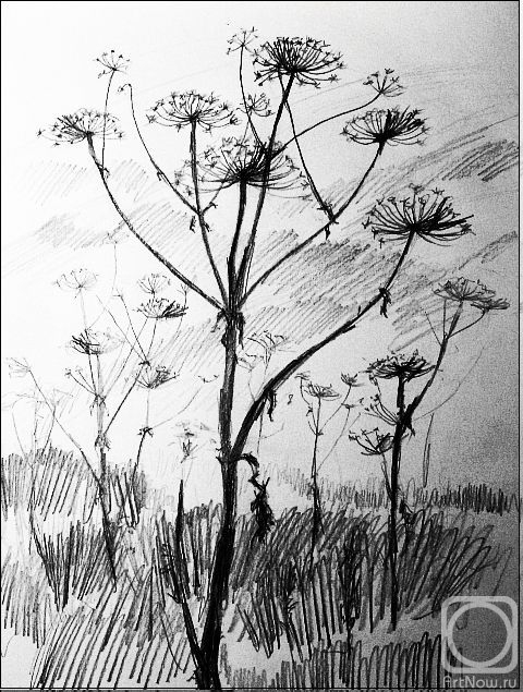 �������. ������ ���������. ���������!