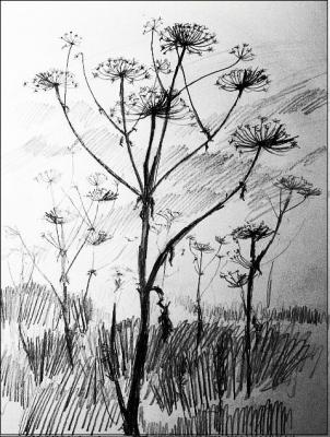 Heraclium in attack. Zhdanov Alexander