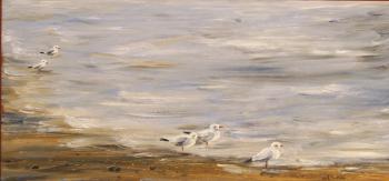Seagulls on the Volga