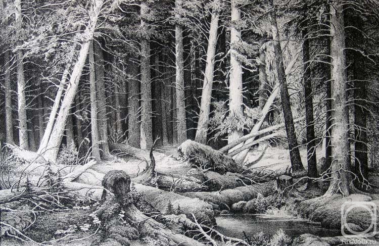 �������. ��������� �������. ���