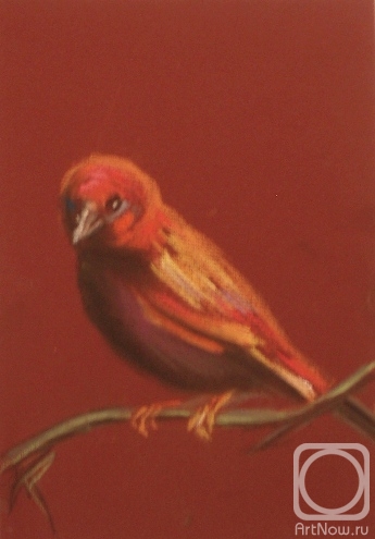 �������. �������� ������. ����� 23 (������)