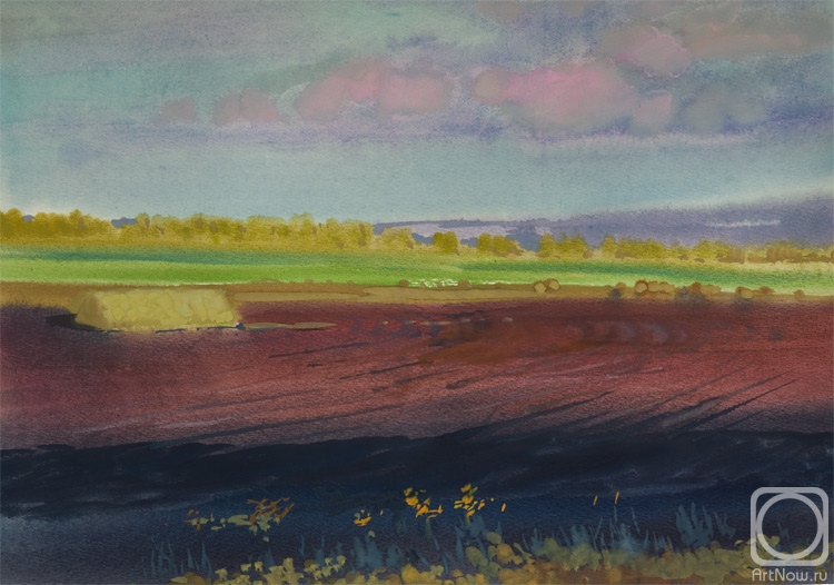 Shanin Vladimir. Autumn Field