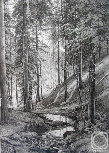 �������. ��������� �������. ������ �����