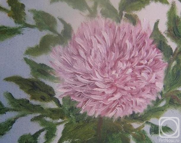 ������� ������ �� ������. ������ ����. ������� ���. ��������