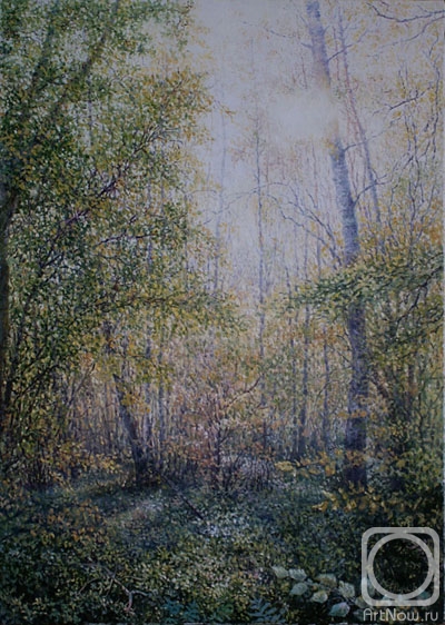 ������� ������ �� ������. ������ �����. � ������� ����