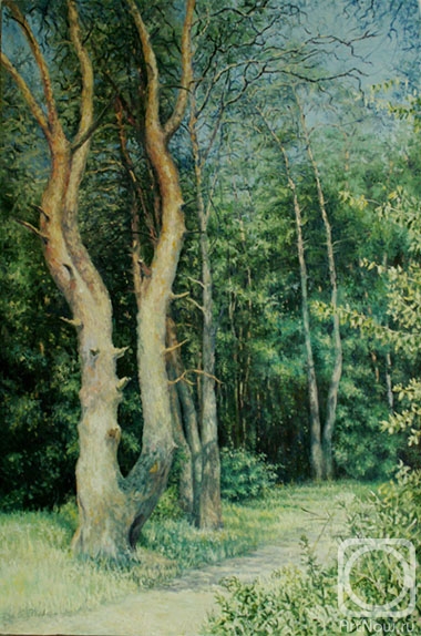 ������� ������ �� ������. ������ �����. �����