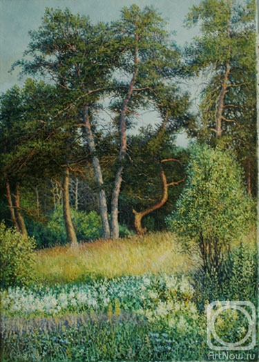 ������� ������ �� ������. ������ �����. �����