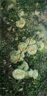 ������� ������ ��������