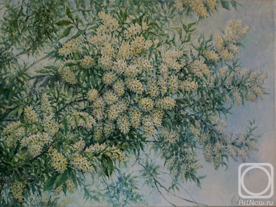 ������� ������ �� ������. ������ �����. ����� �������