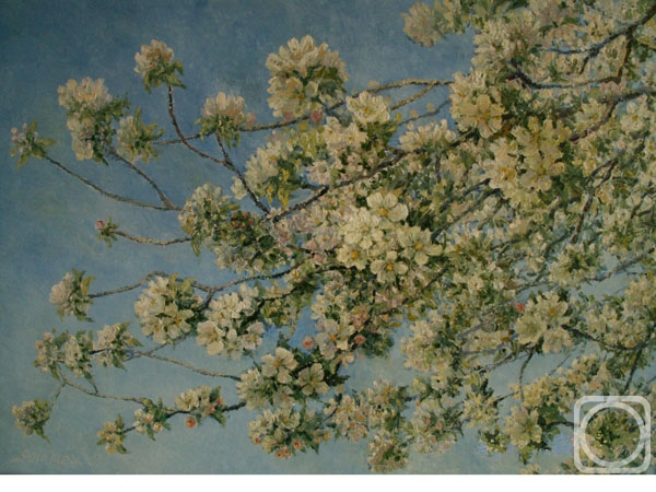 ������� ������ �� ������. ������ �����. ����� ������