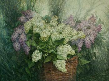 ������� ������� � �������