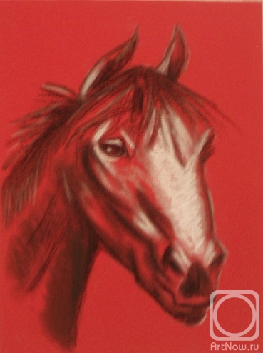 �������. �������� ������. ����� 37 (������ ������ �� ������� ����)