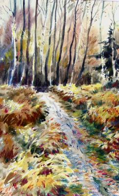 Autumn. Zajtsevo, 01