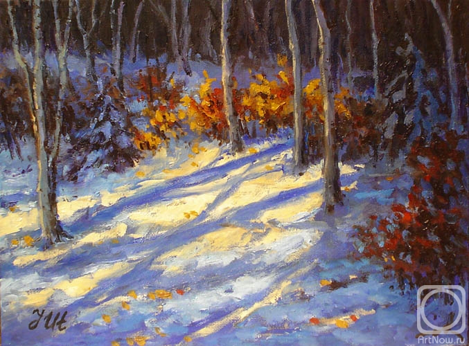 Herrero-Utiasheva Julia. Little winter landscape