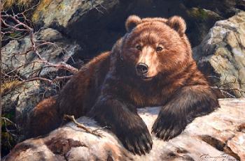 Bear on the Rocks. Danchurova Tatyana