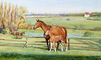 Horses. Chernysheva Marina
