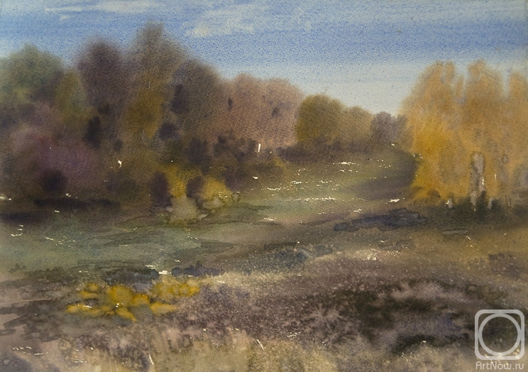 Shanin Vladimir. Untitled