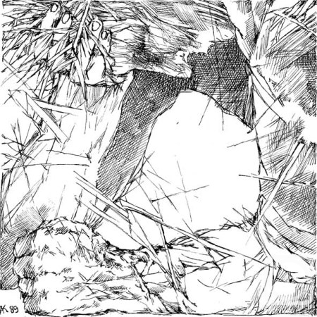 �������. ��������� ������. ���� �� �����. ��������. �������