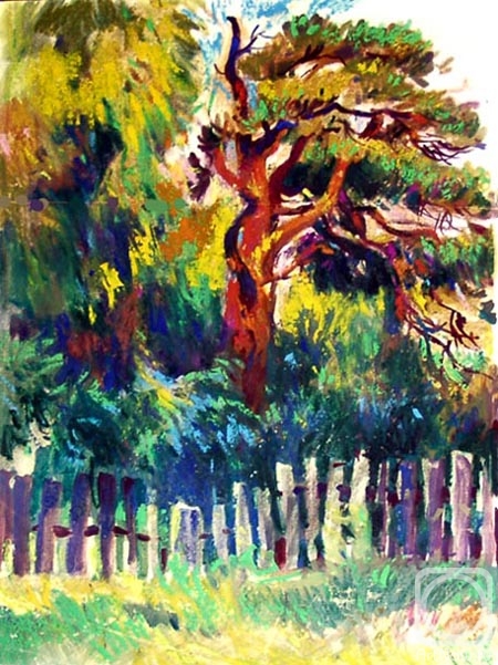 �������. ����������� ����. �� ����� �������� - 41