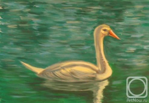 �������. �������� ������. ����� 45 (������)