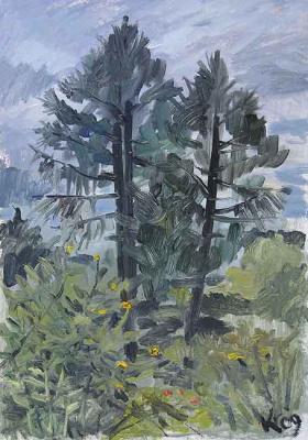 Summer is coming to an end (((