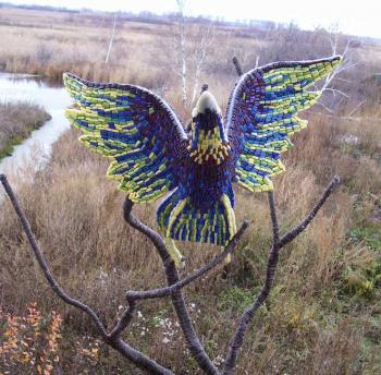 paradise bird. Gasilov Vladimir