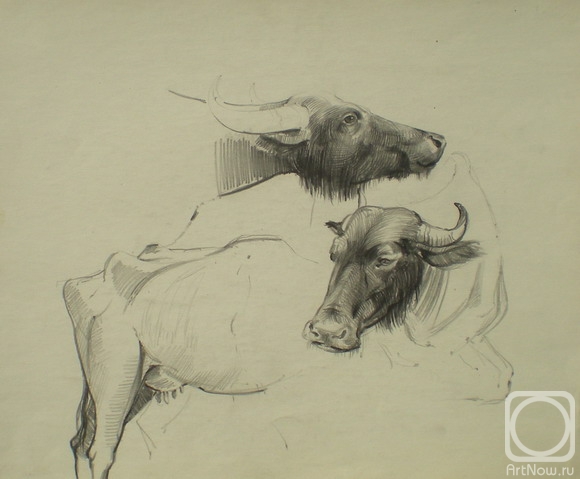 Kharabadze Teimuraz. Ertatsminda