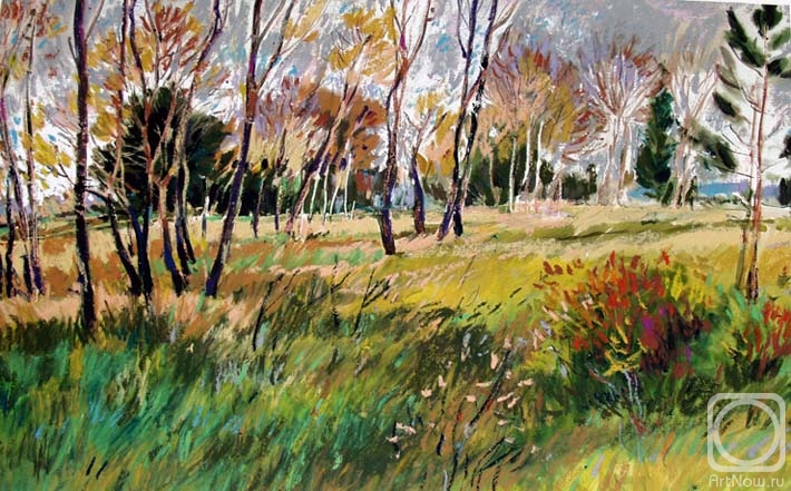 �������. ����������� ����. �� ����� �������� - 64