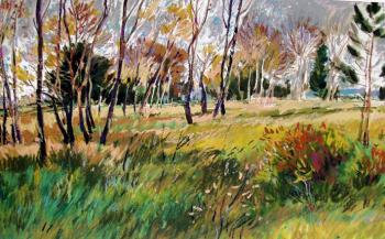 From � Pastels� Series - 64