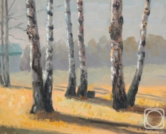 ������� ������ �� ������. ������ ���������. ������� ���������� �������