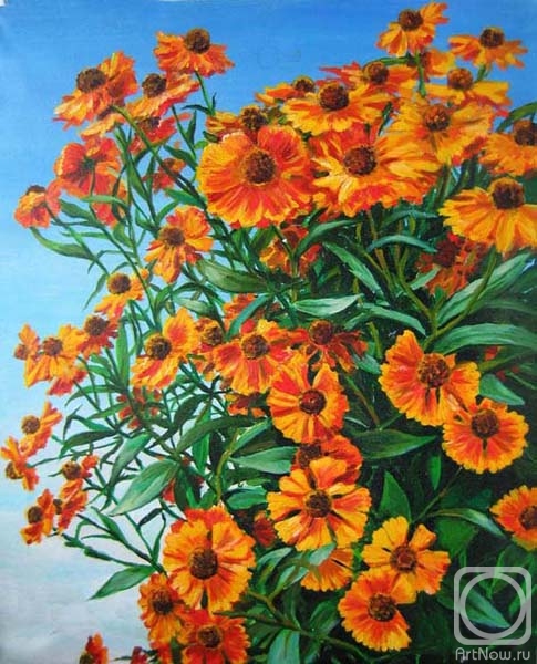 ������� ������ �� ������. �������� �������. ������ �����