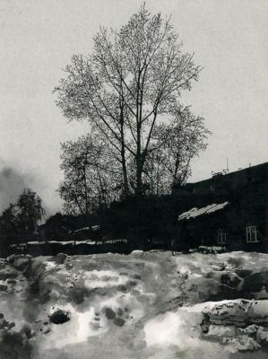 ������� ������� ������