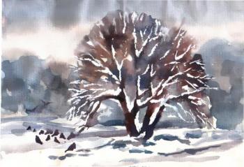 �����������. ������� �����