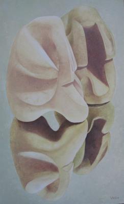 ������� ����������� 72�