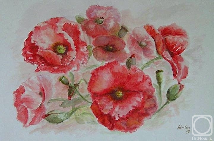 �������. ������� �������. ����