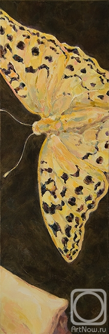 Sayfutdinova Larisa. butterfly