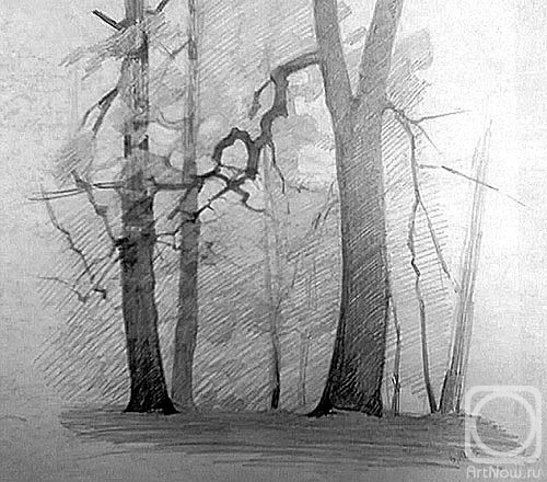 �������. ������� ����. ������������ ������ (��������)