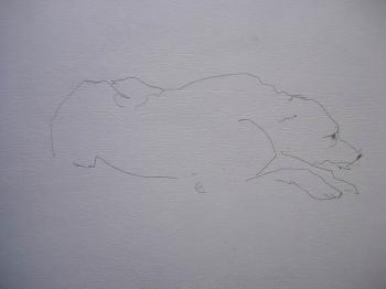 ������� ������