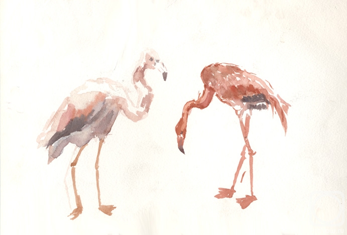 �������. �������������� ������. ��������