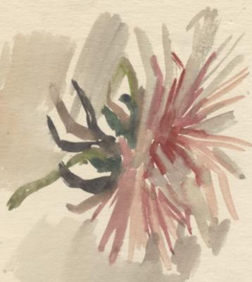 ������� �������