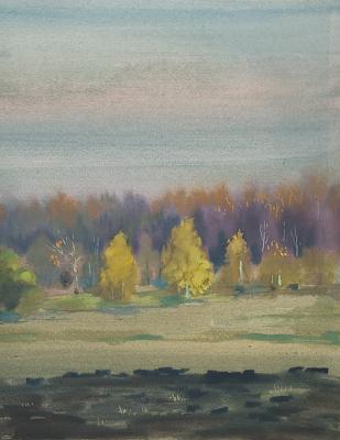 ������� �������� 2009�