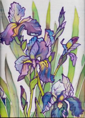 Irises on white. Ripa Elena